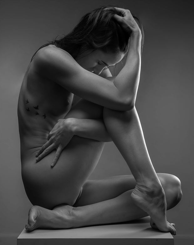 nude work artistic nude photo by photographer ronnie louis