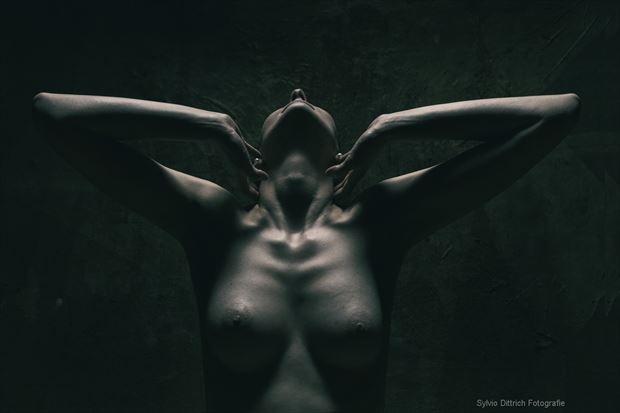 oberlicht artistic nude photo by photographer s dittrich