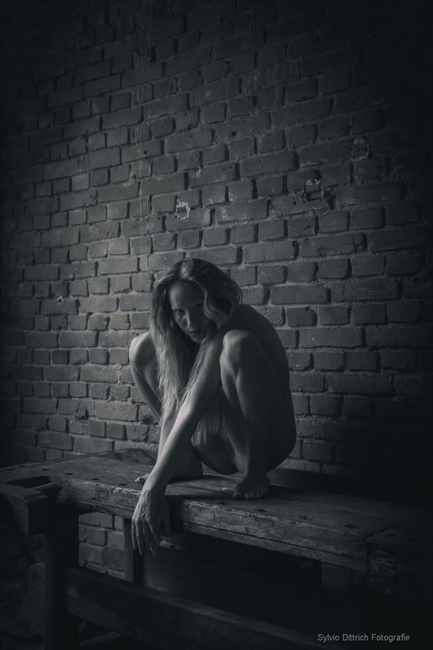 offene abwehr artistic nude photo by photographer s dittrich