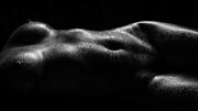oiled body artistic nude artwork by photographer brown lotus photography