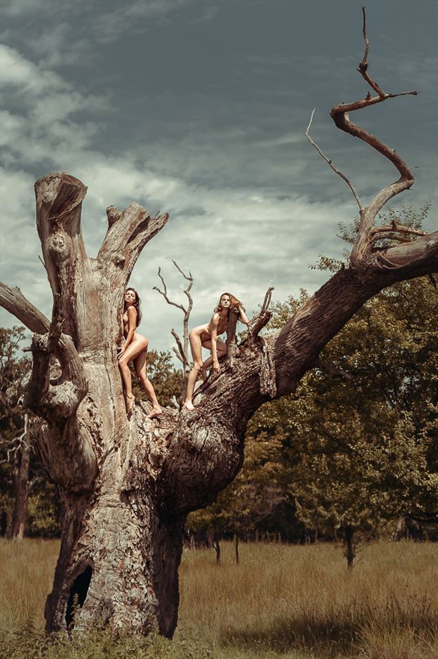 old tree muses artistic nude photo by photographer gabi gogiu