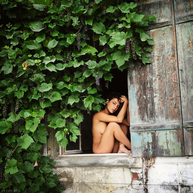 old window artistic nude photo by model joy lamore