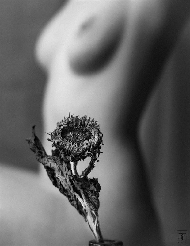 olive artistic nude photo by photographer imar