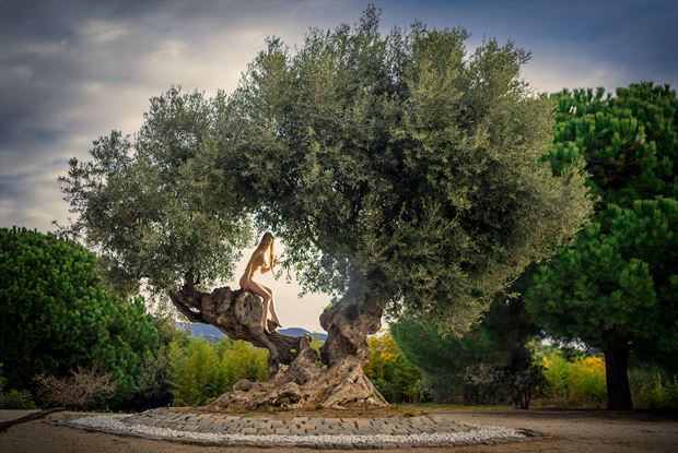 olive tree artistic nude photo by photographer ilya ishenko