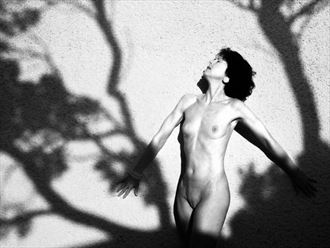 ombres de midi 1 artistic nude artwork by photographer dick