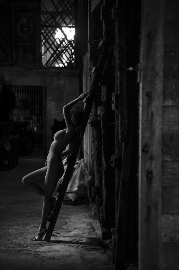 on a ladder erotic photo by photographer peter lik