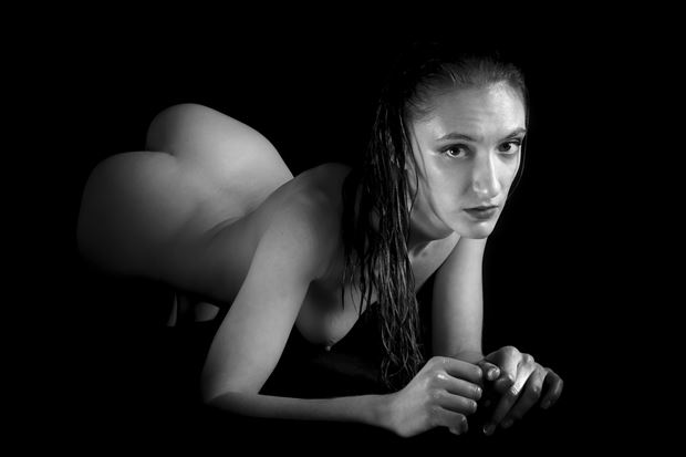 on all fours artistic nude photo by model gabriella marsie