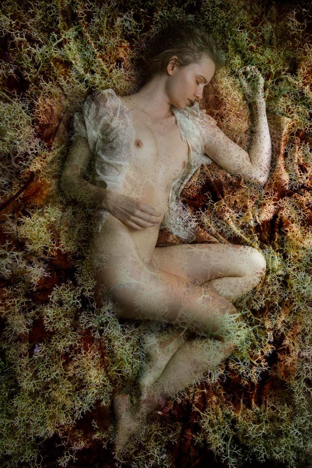 once upon a dream ii artistic nude artwork by photographer christopher meredith