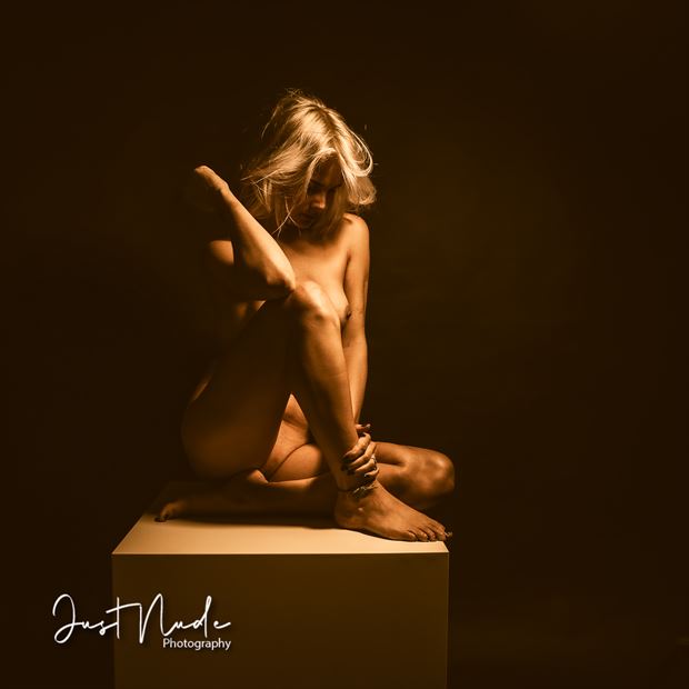 one light session artistic nude artwork by photographer justnude nl