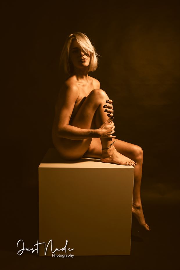 one light session artistic nude artwork by photographer justnude nl