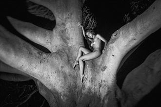 one rule in this jungle artistic nude photo by photographer bmorrisphoto