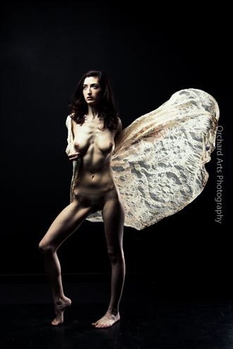 one wing artistic nude photo by photographer orchard arts