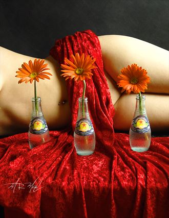 orange artistic nude photo by photographer maxpix
