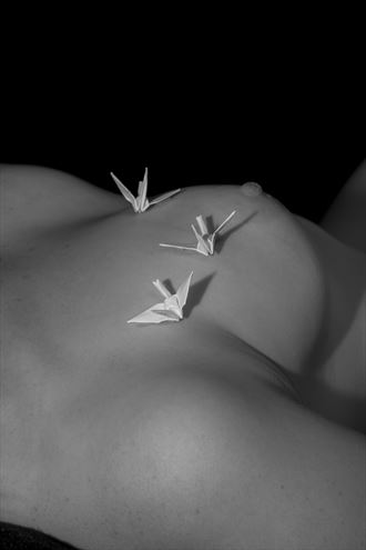 origami erotic photo by photographer cguthrie