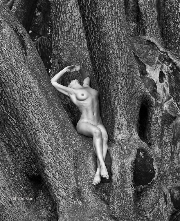 osterley park london artistic nude photo by photographer gibson