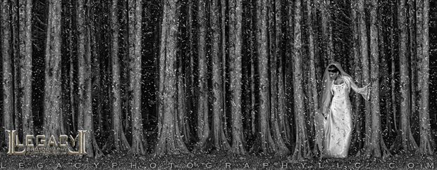 out in the woods in b w surreal photo by photographer legacyphotographyllc