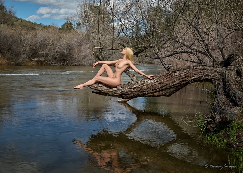 out on a limb artistic nude photo by photographer deekay images