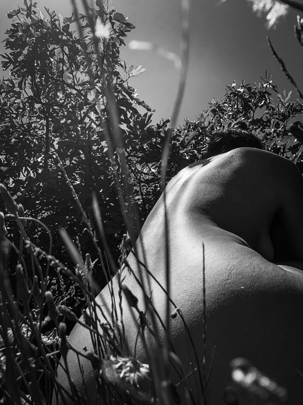 overgrowth artistic nude photo by model a k arts