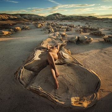 oyster bed artistic nude photo by photographer dario infini