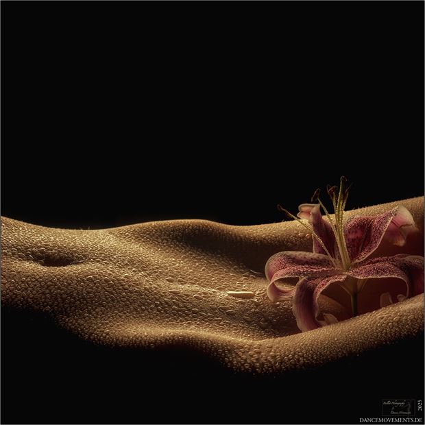 pacha mama artistic nude artwork by photographer dancemovements
