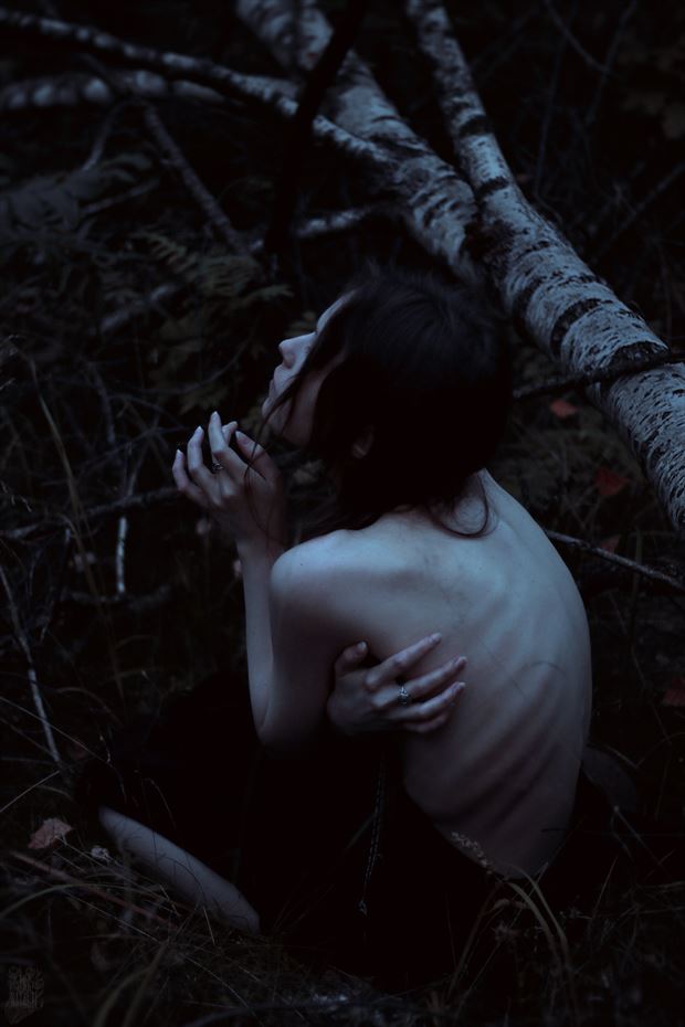 pale autumn in dark woods nature photo by photographer natalie ina