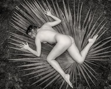 palm nude with reece artistic nude photo by photographer light workx