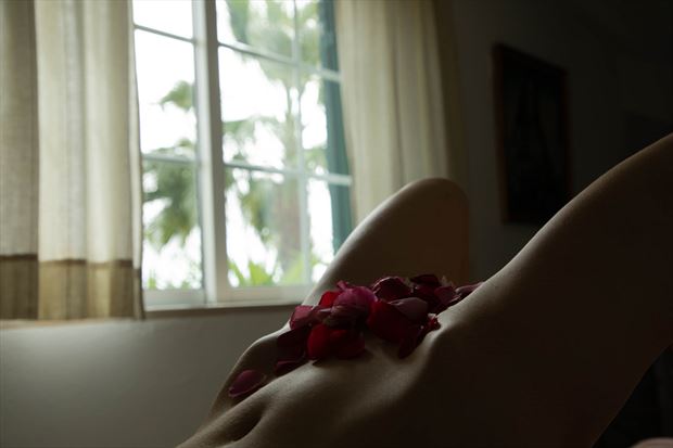 palm trees and roses artistic nude photo by model sonriza