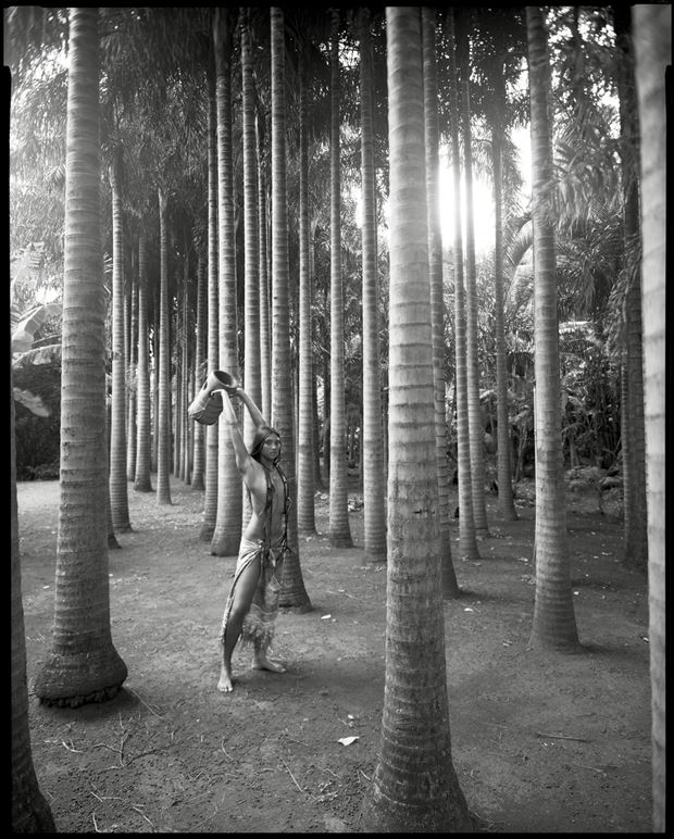 palolo valley palms artistic nude photo by photographer arbeit photo hawaii