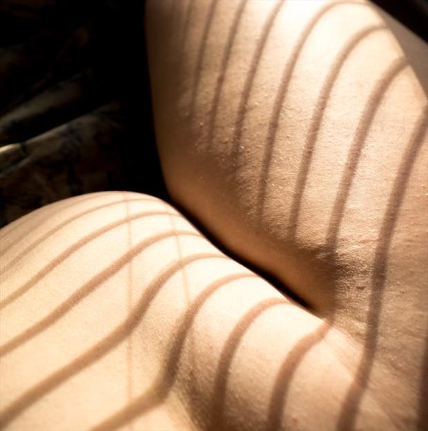 part of Playing with Light series Artistic Nude Artwork by Artist Zaftig Ribaldry