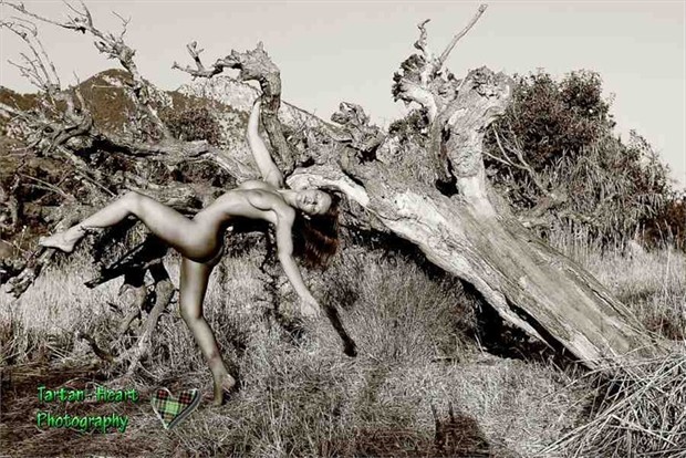 part of nature Artistic Nude Photo by Model Chika