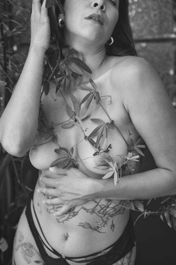 pasionaria artistic nude photo by photographer gabriela kipreos