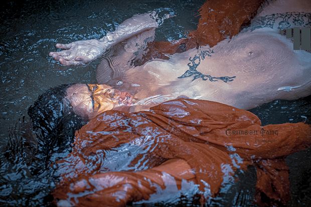passage of the golden firefly 3 artistic nude photo by photographer fayev