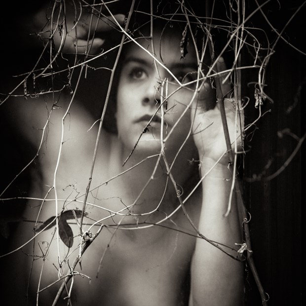 passiflora Artistic Nude Photo by Photographer Mused Renaissance