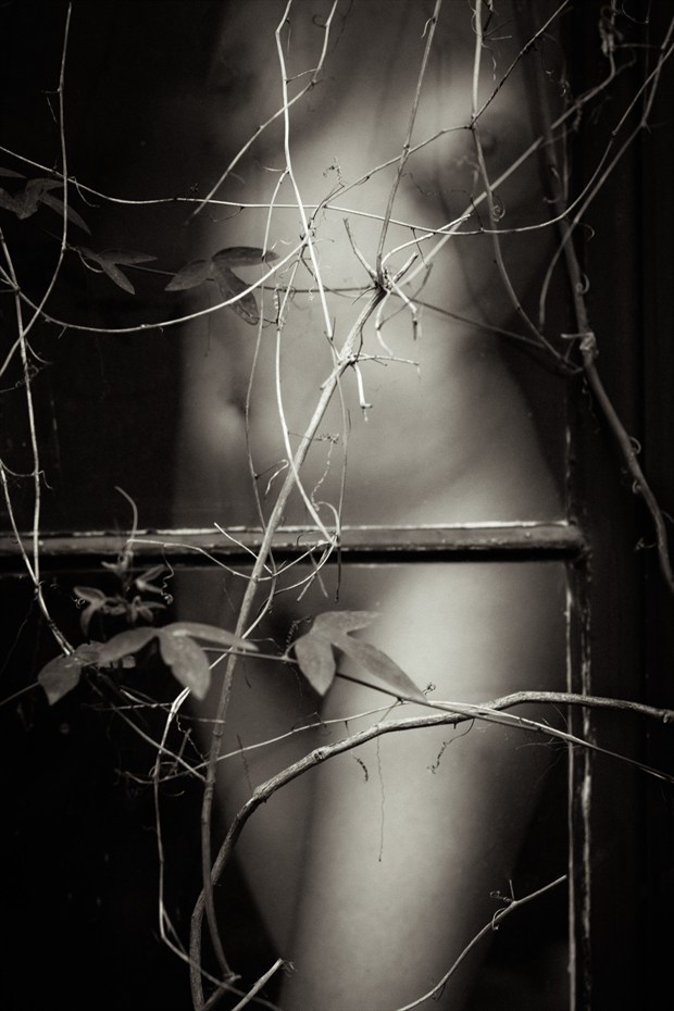 passiflora Artistic Nude Photo by Photographer Mused Renaissance