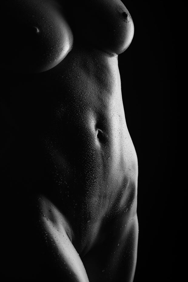 perfect lines artistic nude photo by photographer ovidiu bujor