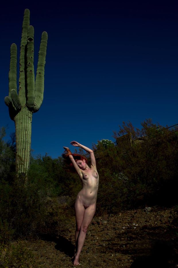 photo by angie marie artistic nude photo by model astrid kallsen