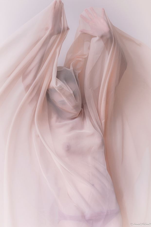 phylact%C3%A8re rose artistic nude photo by photographer visionsdt