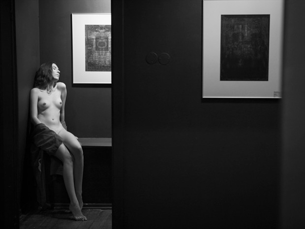pictures from the exhibition Artistic Nude Photo by Photographer zanzib
