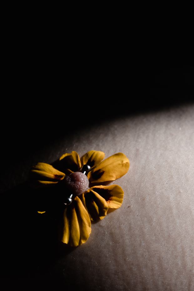 pierced artistic nude artwork by photographer brendan louw