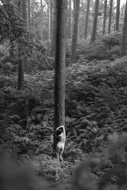 pillars artistic nude photo by photographer talisk