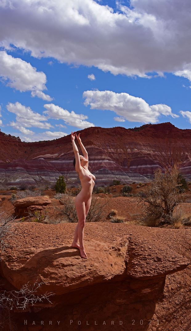 pirouette artistic nude photo by photographer shootist