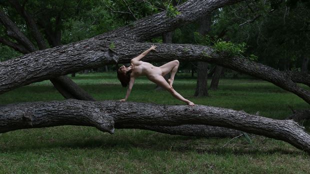 planking artistic nude photo by photographer comet photos