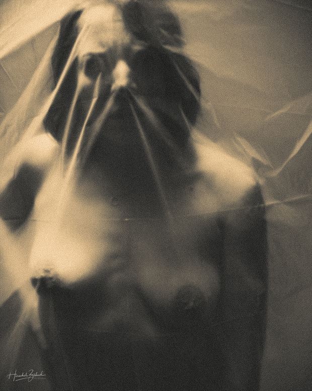 plastic sheet artistic nude photo by photographer zahndh23