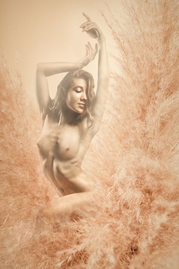 poppy artistic nude artwork by photographer dieter kaupp