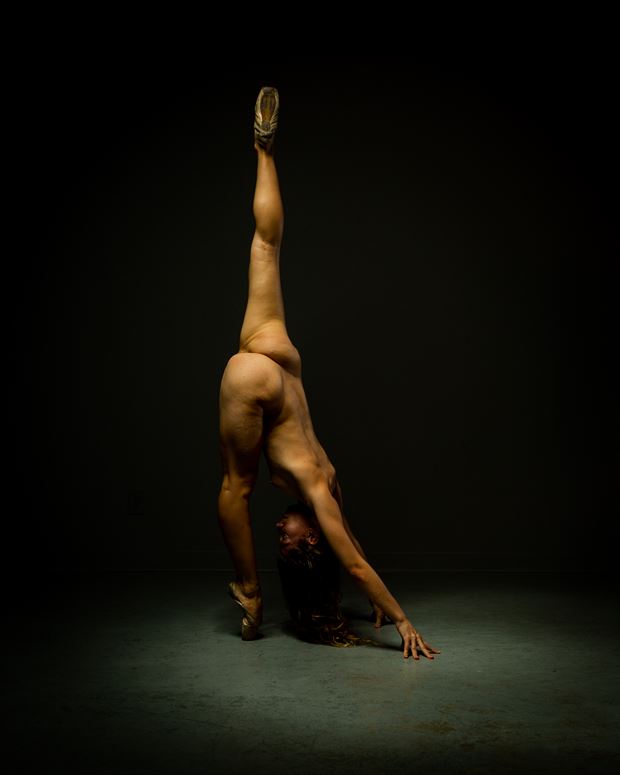 poppyseed dancer en pointe both ways artistic nude photo by photographer doc list