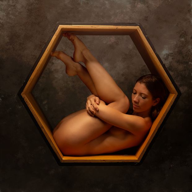 poppyseed dancer in the hexagon artistic nude photo by photographer doc list