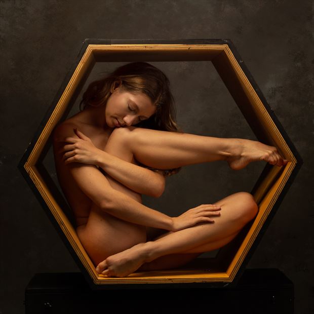 poppyseed dancer in the hexagon artistic nude photo by photographer doc list