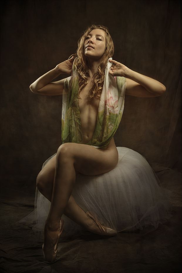poppyseeddancer artistic nude artwork by photographer dieter kaupp