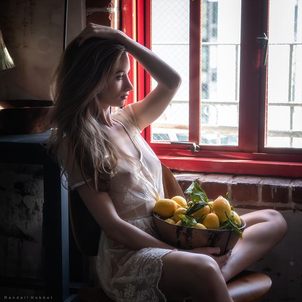 portrait of elizabeth artistic nude photo by photographer randall hobbet