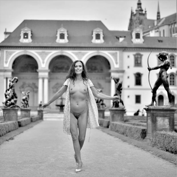 prague senate artistic nude photo by photographer kees terberg